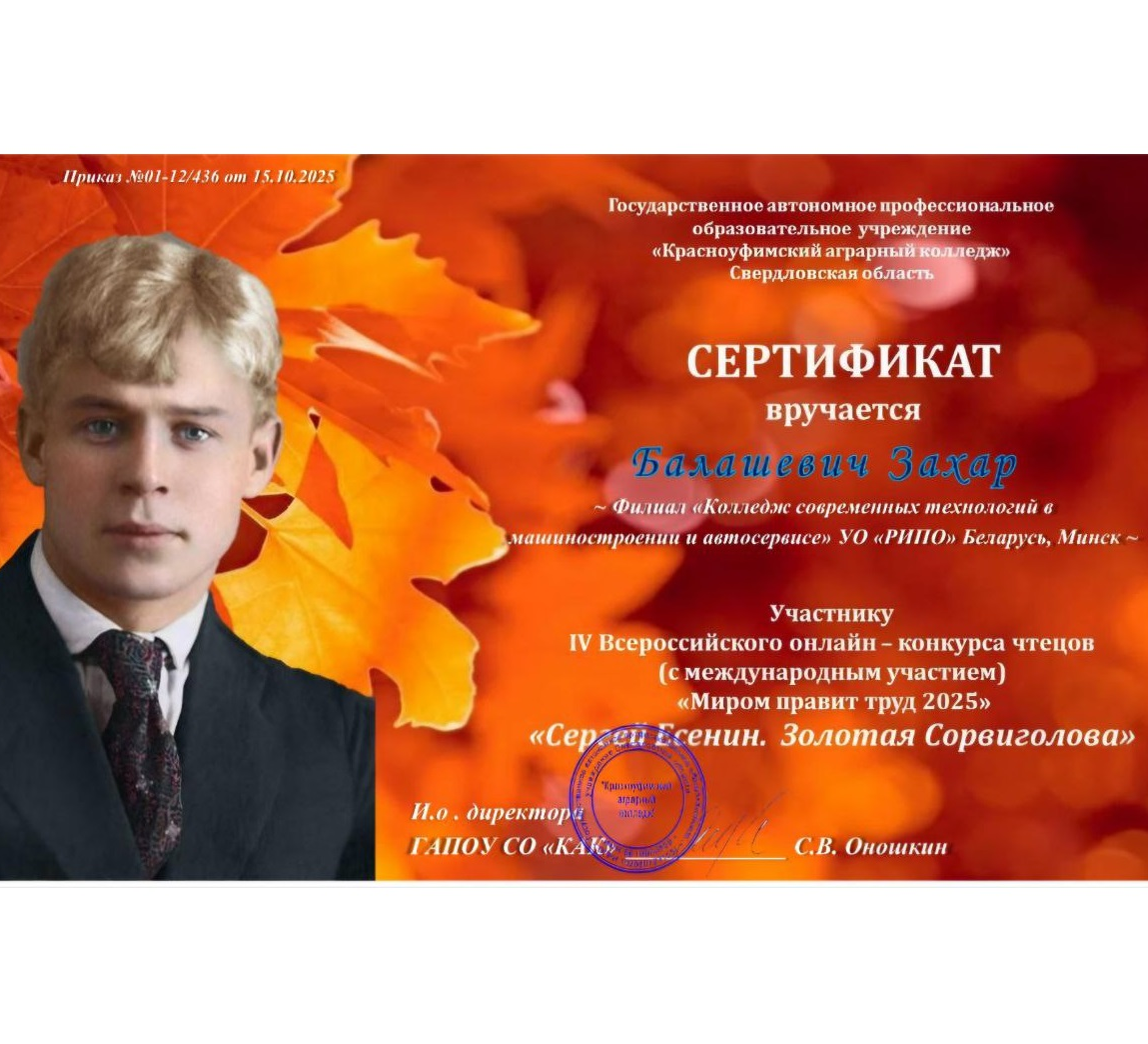 Фотография