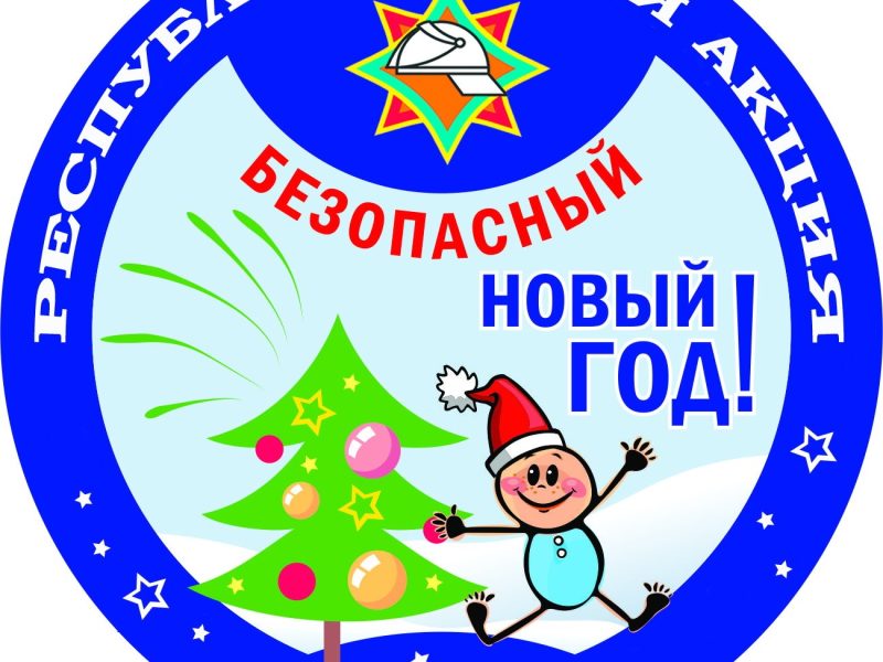 15 декабря в республике стартовала информационно-пропагандистская акция «Безопасный Новый год!»