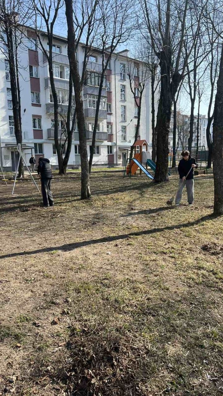 Фотография