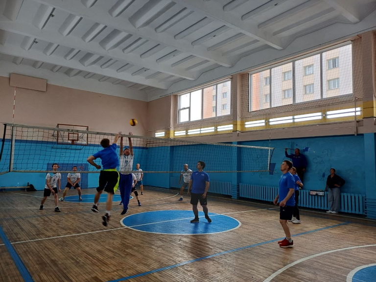 Соревнования по волейболу — это завораживающий танец силы